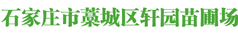 河北石家庄绿化苗木基地|藁城苗圃|南洼苗木|藁城区轩园苗圃场