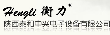 陕西泰和中兴电子设备有限公司-衡力打印机