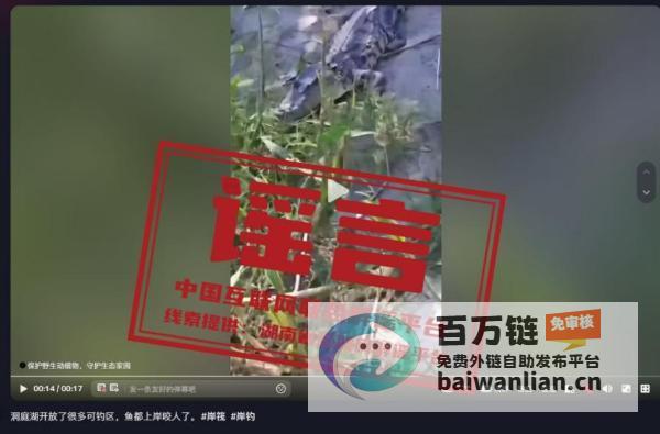 虚假视频误传闹乌龙 洞庭湖鳄鱼传言破灭 (虚假视频误传怎么办)